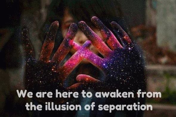 398302_480736338615216_251369607_n