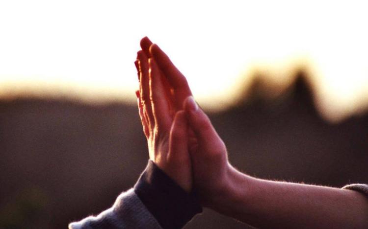 51401459_1037856779748302_7690160736152059904_n