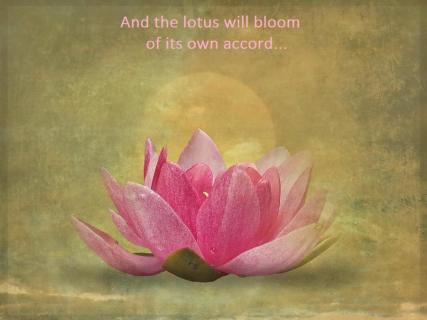 385363_10151443057913933_458428862_n (2)