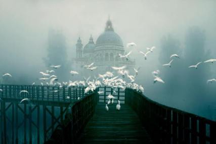 998234_536571796416273_1961973096_n