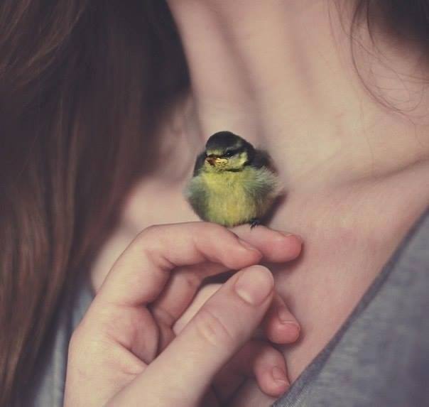 579229_632127056860746_774893063_n