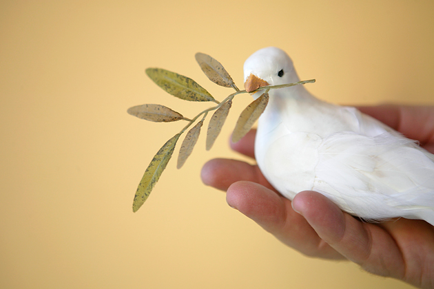 1113_debt_forgive_630x420