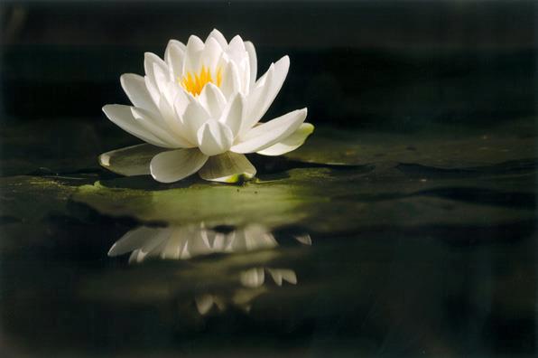 420107_3404767804597_1431955600_33264399_833430109_n