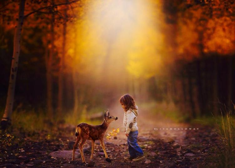 1454702_766900956716688_3673739861705083865_n