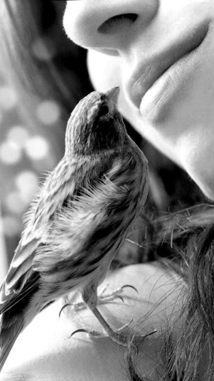 483ab8b8b8c7f13d19303ee185d2d62e