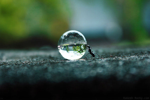 water-drop-photos-40