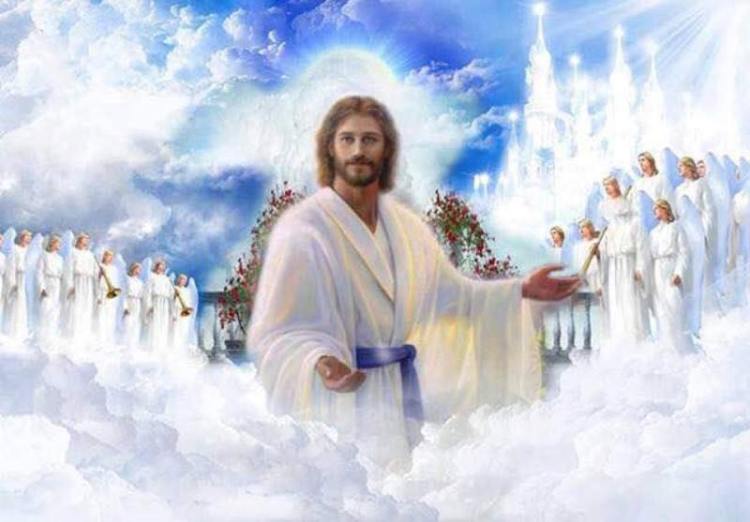 14390719_559116654288986_2823608449958074329_n